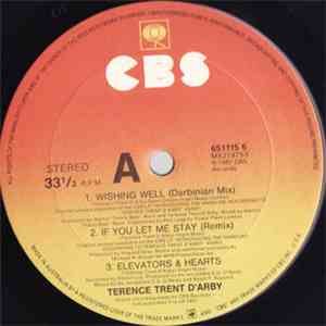 Terence Trent D'Arby - Wishing Well (The Darbinian Mix) FLAC