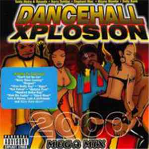 Various - Dancehall Xplosion 2000 FLAC