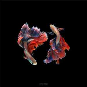 Kai Beckman - Yin_Yang FLAC