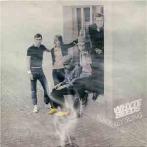 Whyte Seeds - Black Key Song FLAC