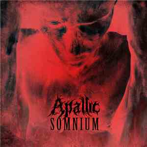 Apallic - Somnium FLAC