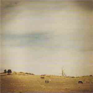 Bronwyn - Through The Fog, Through The Pines FLAC