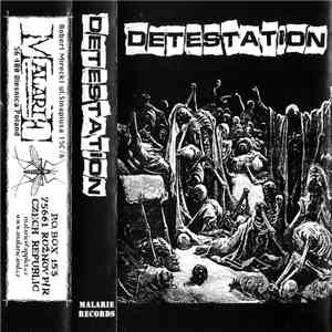 Detestation - Detestation FLAC