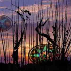 MV & EE - Muskie & Manitou FLAC