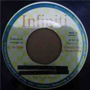 The Right Notes - Zion Train FLAC
