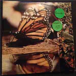 Emeralds  - Untitled FLAC