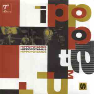 Hippopotamus - Distortion Box / Day's Disposition FLAC