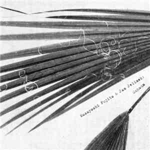 Masayoshi Fujita & Jan Jelinek - Schaum FLAC