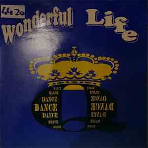 Q-Dance  - Wonderful Life FLAC