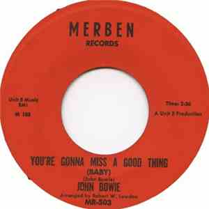 John Bowie - You're Gonna Miss A Good Thing (Baby) / At The End Of The Day FLAC
