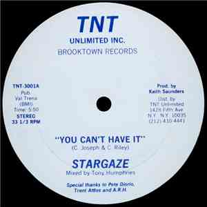 Stargaze  - You Can't Have It FLAC