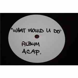 Damizza - What Would U Do FLAC