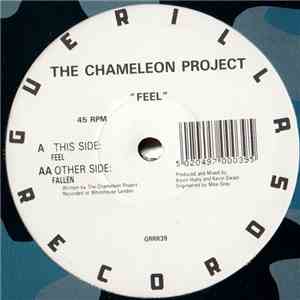 The Chameleon Project - Feel FLAC