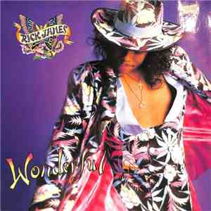 Rick James - Wonderful FLAC