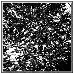 Clipping. - Midcity FLAC