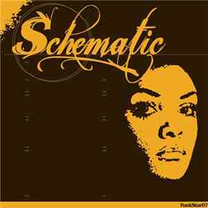 Schematic  - My Friend FLAC