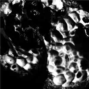 Various - Monolith Records 000 FLAC