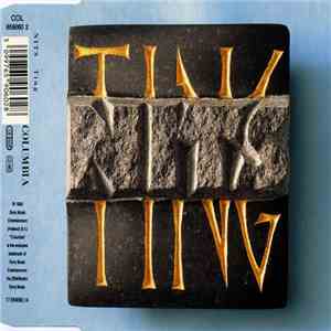 Nits - Ting FLAC