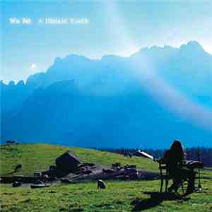 Wu Fei - A Distant Youth FLAC
