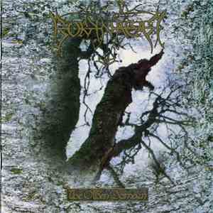 Borknagar - The Olden Domain FLAC