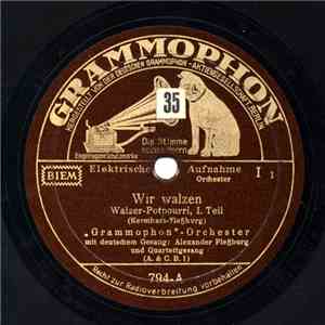 "Grammophon"-Orchester, Alexander Fleßburg - Wir Walzen FLAC