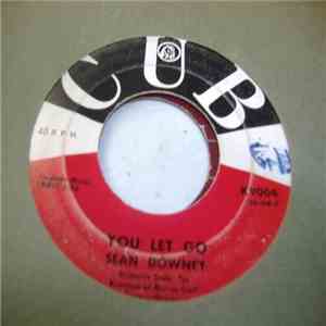 Sean Downey - You Let Go / Hearts Are Wild FLAC