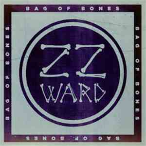 ZZ Ward - Bag of Bones (Fan Version) FLAC