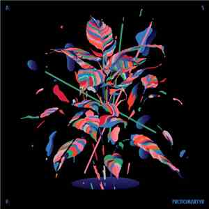 Protomartyr - Born To Be Wine FLAC