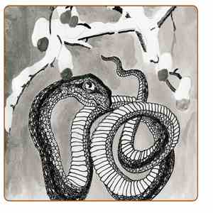 The Gravel Pit - Serpent Umbrella FLAC