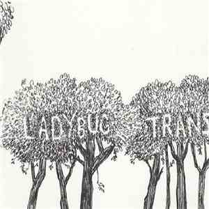 The Ladybug Transistor - Here Comes The Rain EP FLAC