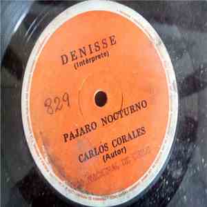 Denisse - Pájaro Nocturno FLAC