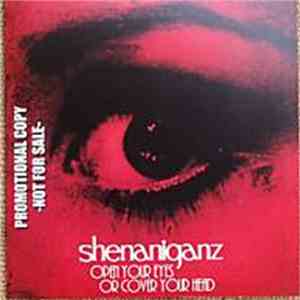 Shenaniganz - Open Your Eyes Or Cover Your Head FLAC