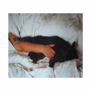 Sweet Talk  - Demos FLAC