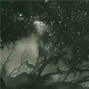Chris Abrahams - Play Scar FLAC