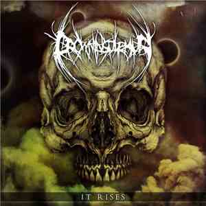 Drown In Sulphur - It Rises FLAC