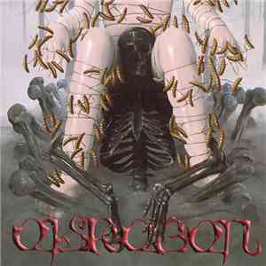 Eisregen - Knochenkult FLAC