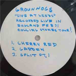 Groundhogs - Live At Leeds FLAC