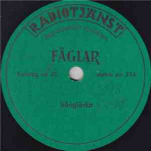 No Artist - Fåglar FLAC