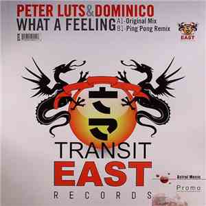 Peter Luts & Dominico - What A Feeling FLAC