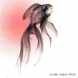 Super Magic Hats - Super Magic Hats FLAC