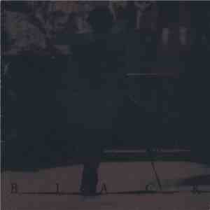 The Artist (Formerly Known As Prince) - Black FLAC
