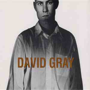 David Gray - Birds Without Wings FLAC