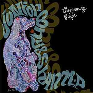 Junior Cony & Shanti D - The Meaning Of Life FLAC
