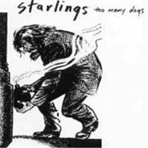 Starlings - Too Many Dogs FLAC