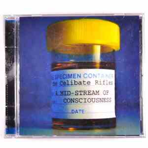 The Celibate Rifles - A Mid-Stream Of Consciousness FLAC
