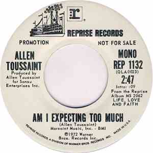 Allen Toussaint - Am I Expecting Too Much FLAC