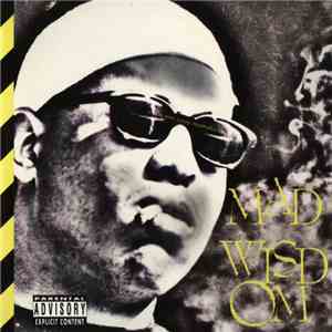 Mad Wisdom - Mad Wisdom FLAC