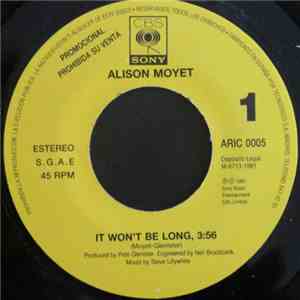 Alison Moyet - It Won't Be Long FLAC