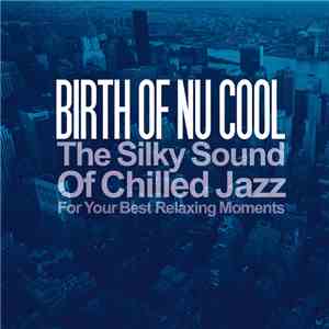 Various - Birth Of Nu Cool FLAC