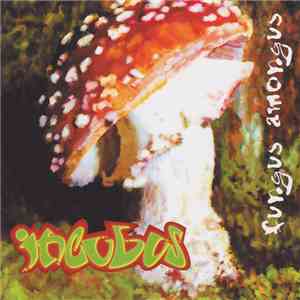 Incubus  - Fungus Amongus FLAC